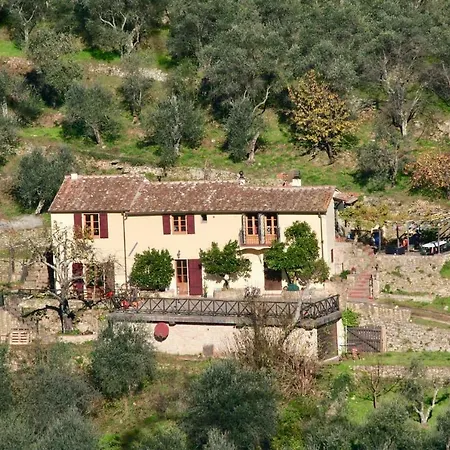 Casa Rurale Selvadolivo